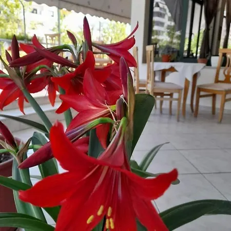 Rossi 3* Vlorë
